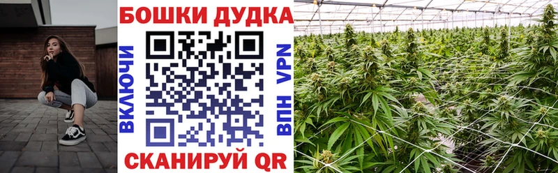 APVP Новоржев