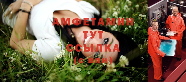 амф Елабуга