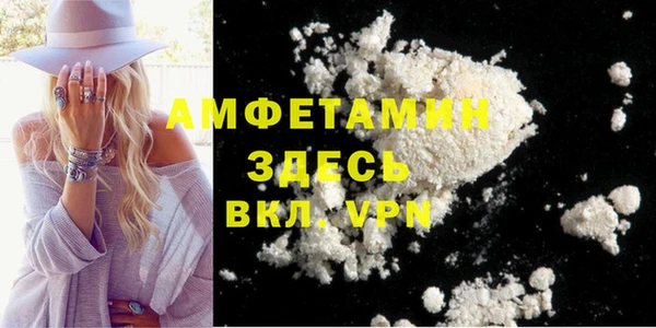 амф Гусев